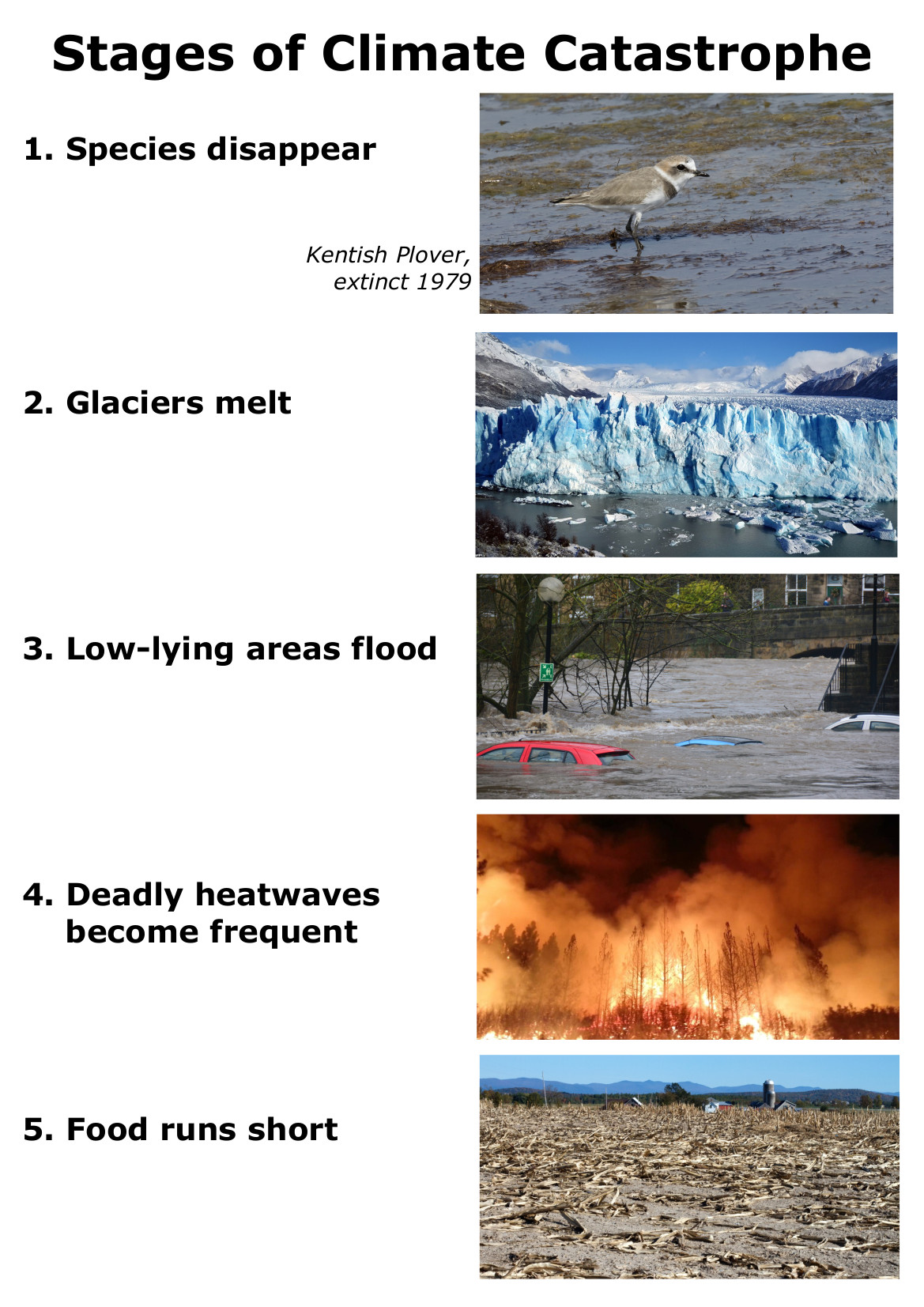 StagesOfClimateCatastrophe